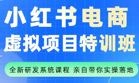 【精】陆明明·小红书虚拟项目特训班(更新9月) 【精】陆明明·小红书虚拟项目特训班(更新9月)