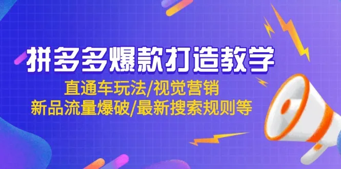 拼多多爆款打造教学:直通车玩法/视觉营销/新品流量爆破/最新搜索规则等 拼多多爆款打造教学:直通车玩法/视觉营销/新品流量爆破/最新搜索规则等