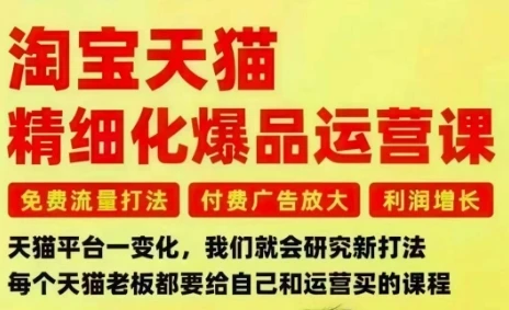 【精】淘宝天猫精细化爆品运营课,免费流量打法-付费广告放大-利润增长-三大核心痛点,一次全部解决 【精】淘宝天猫精细化爆品运营课,免费流量打法-付费广告放大-利润增长-三大核心痛点,一次全部解决