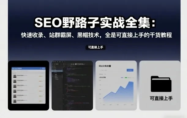 【精】SEO野路子实战全集：快速收录、站群霸屏、黑帽技术，全是可直接上手的干货教程