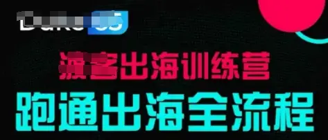 出海训练营基础课,跑通出海全流程,实战案例拆解 出海训练营基础课,跑通出海全流程,实战案例拆解