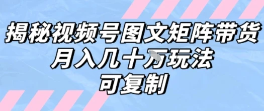解密视频号图文矩阵带货,月入几个W的打法,可复制 解密视频号图文矩阵带货,月入几个W的打法,可复制